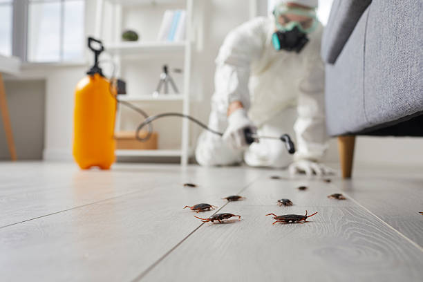 Commercial Kitchen Cockroach Control in Roselle Park
